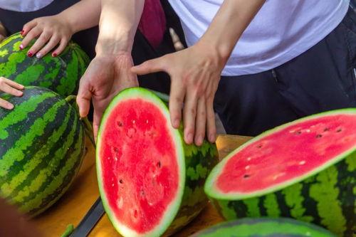 免费版吃瓜,揭秘娱乐圈幕后真相 第1张 免费版吃瓜,揭秘娱乐圈幕后真相 第1张